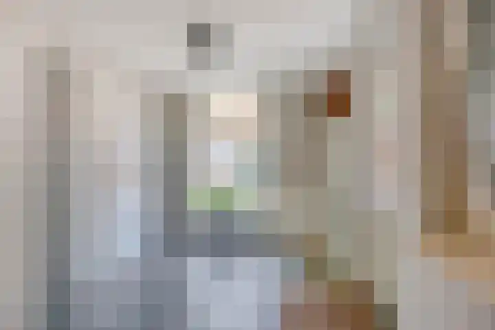 Holtentorensweg 35 Rijssen thumbnail 20