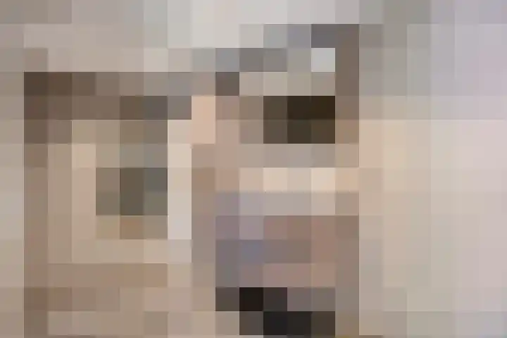 Holtentorensweg 35 Rijssen thumbnail 21