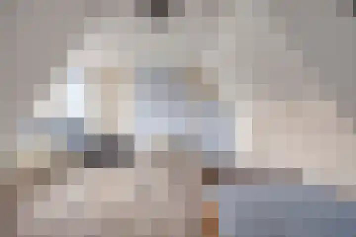 Holtentorensweg 35 Rijssen thumbnail 25