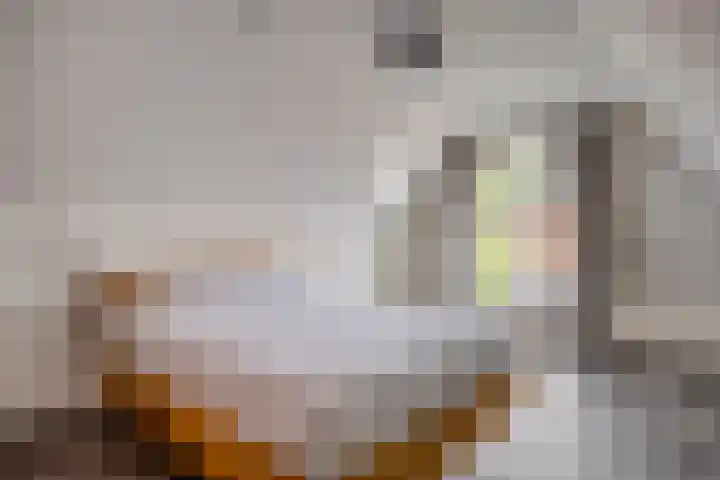 Holtentorensweg 35 Rijssen thumbnail 26