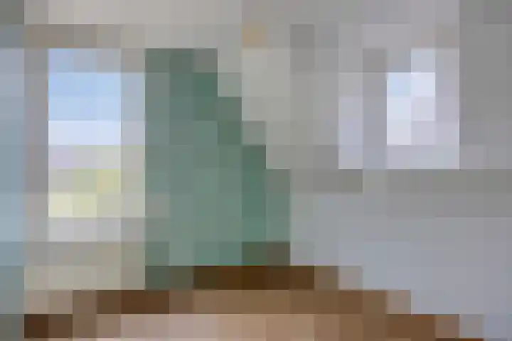 Holtentorensweg 35 Rijssen thumbnail 31
