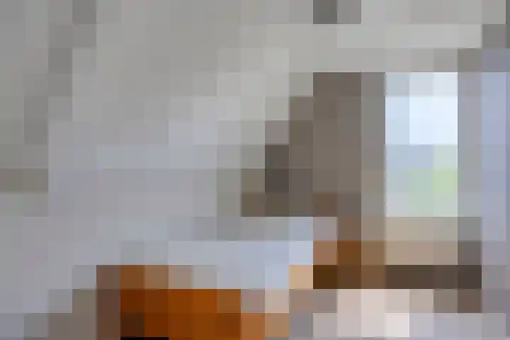 Holtentorensweg 35 Rijssen thumbnail 32