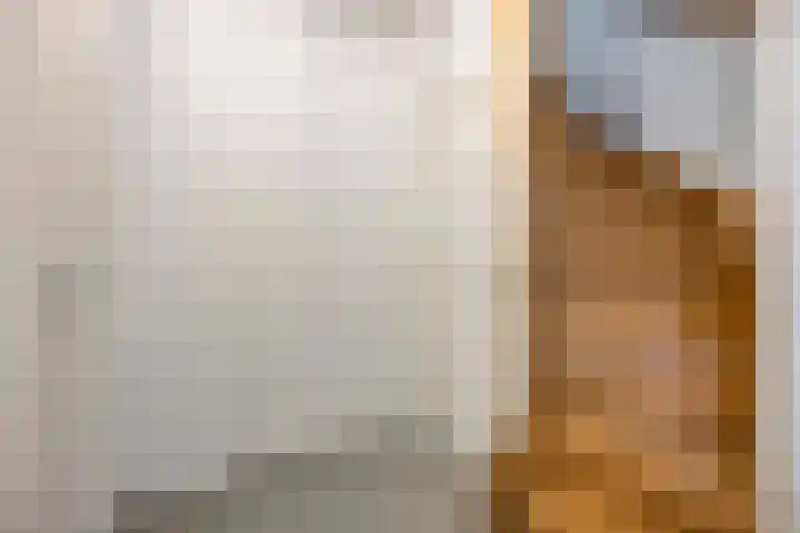 Holtentorensweg 35 Rijssen thumbnail 34