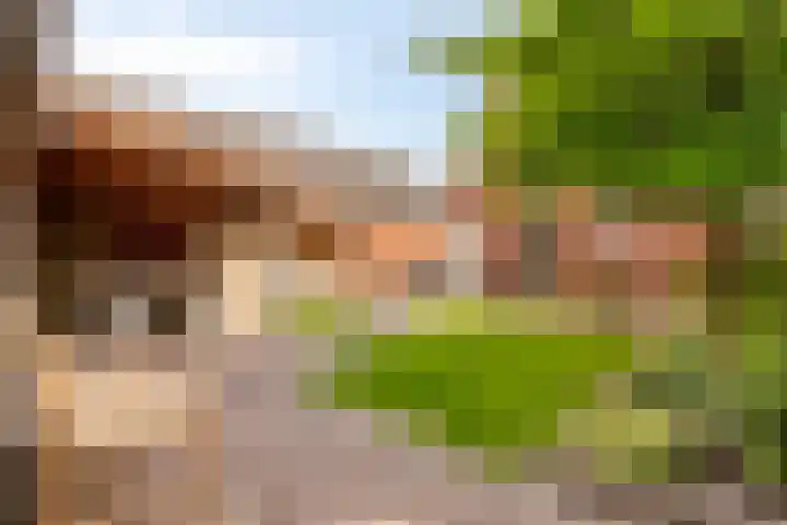Holtentorensweg 35 Rijssen thumbnail 4
