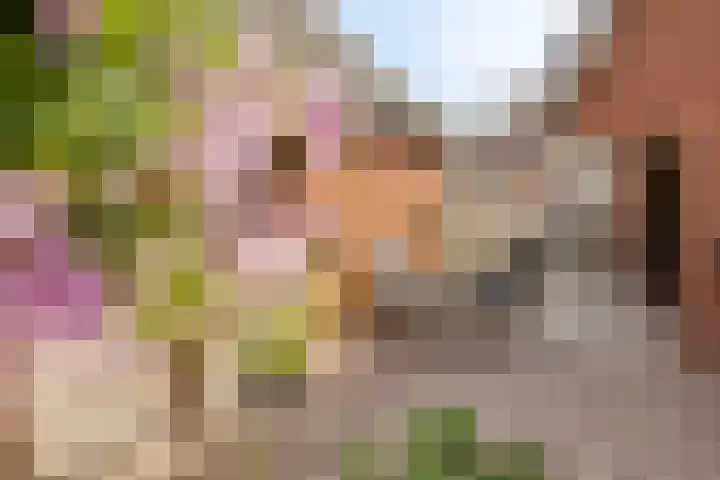 Holtentorensweg 35 Rijssen thumbnail 40