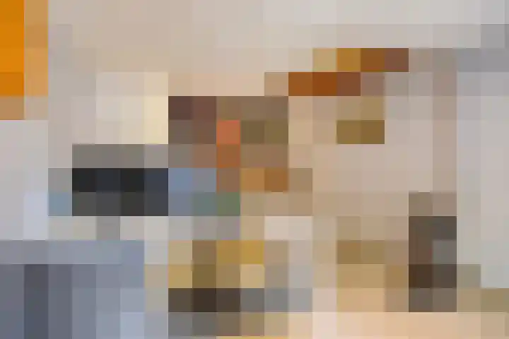 Holtentorensweg 35 Rijssen thumbnail 43