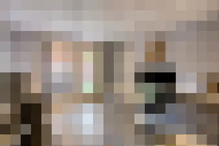 Holtentorensweg 35 Rijssen thumbnail 44