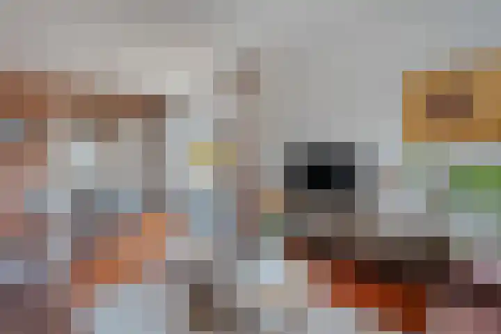 Holtentorensweg 37 Rijssen thumbnail 10