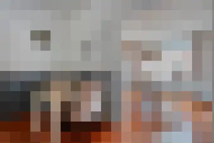 Holtentorensweg 37 Rijssen thumbnail 14