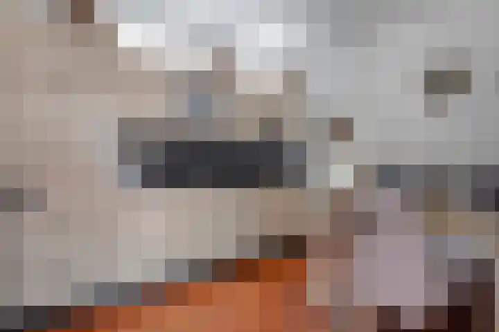 Holtentorensweg 37 Rijssen thumbnail 16