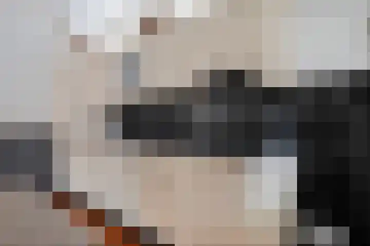 Holtentorensweg 37 Rijssen thumbnail 17