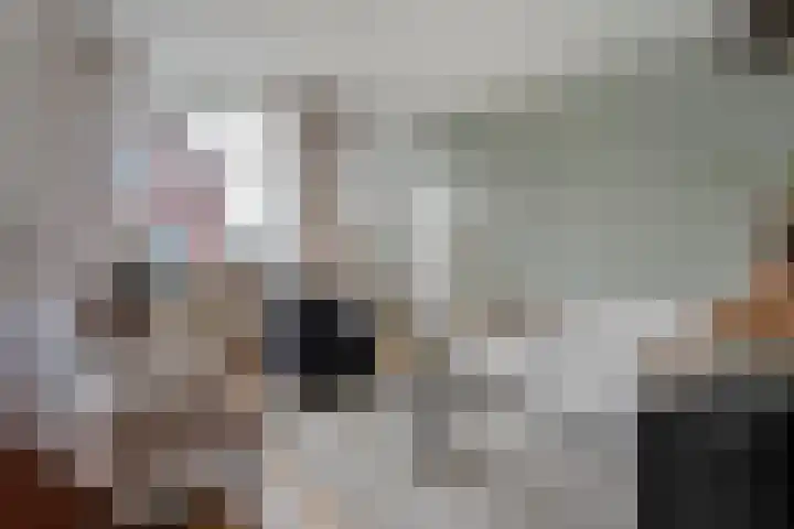 Holtentorensweg 37 Rijssen thumbnail 19