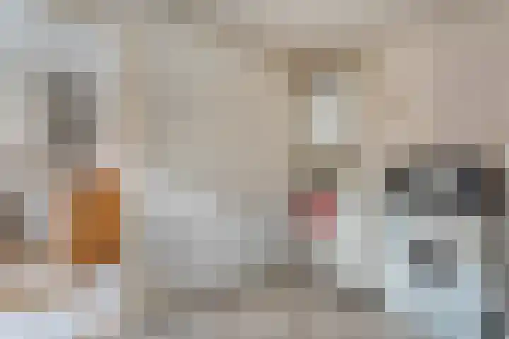 Holtentorensweg 37 Rijssen thumbnail 27