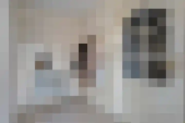 Holtentorensweg 37 Rijssen thumbnail 28