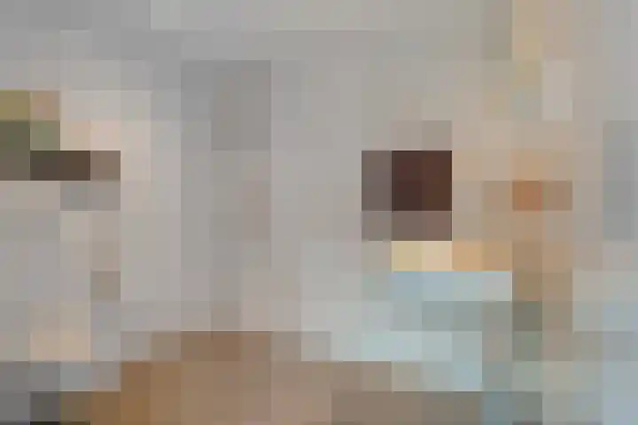 Holtentorensweg 37 Rijssen thumbnail 30