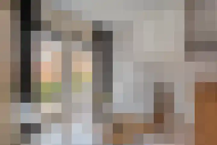 Holtentorensweg 37 Rijssen thumbnail 34