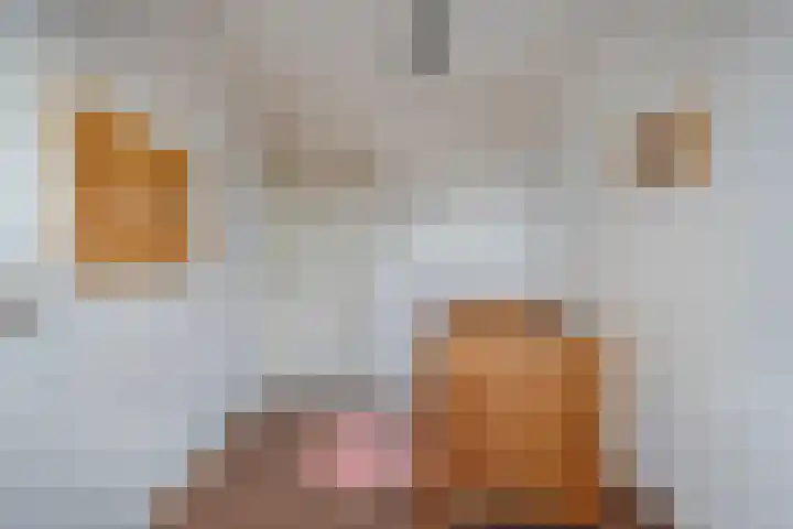 Holtentorensweg 37 Rijssen thumbnail 44