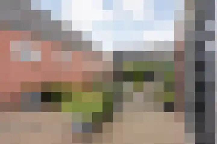 Holtentorensweg 37 Rijssen thumbnail 47