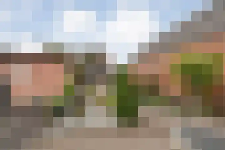 Holtentorensweg 37 Rijssen thumbnail 52