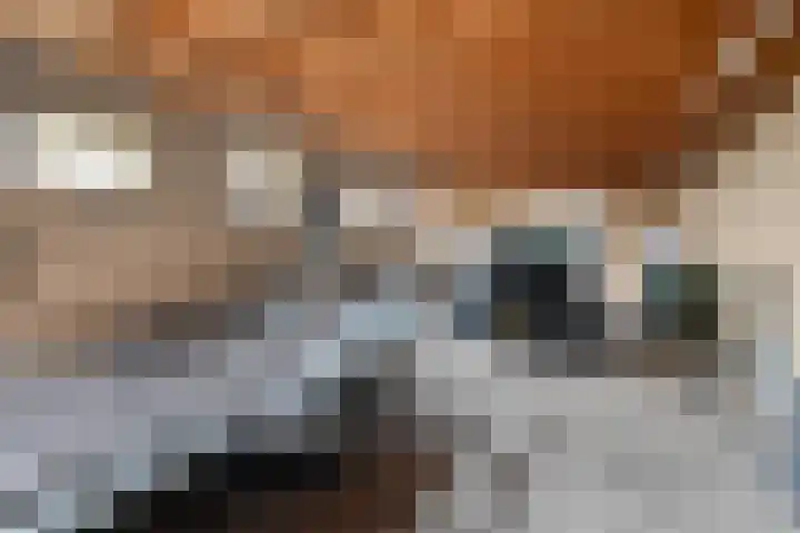 Holtentorensweg 37 Rijssen thumbnail 54