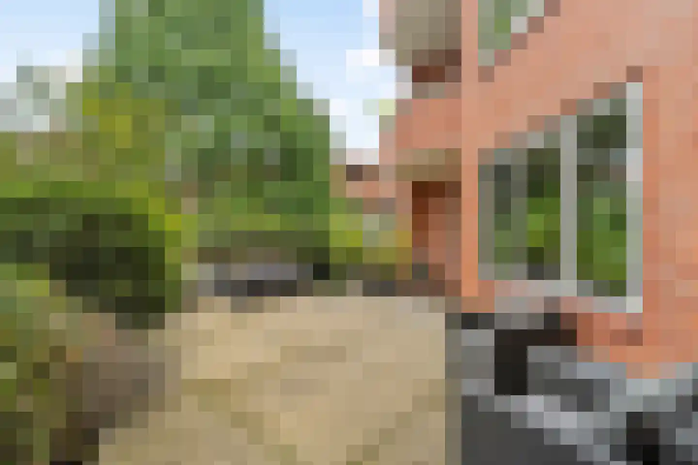 Holterberg 104 Capelle aan den IJssel thumbnail 5