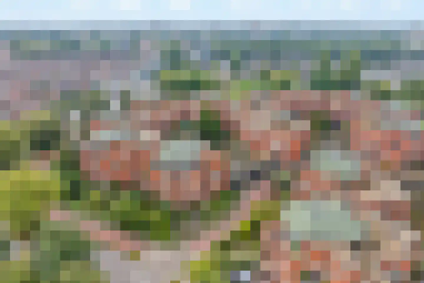 Holterberg 104 Capelle aan den IJssel thumbnail 6