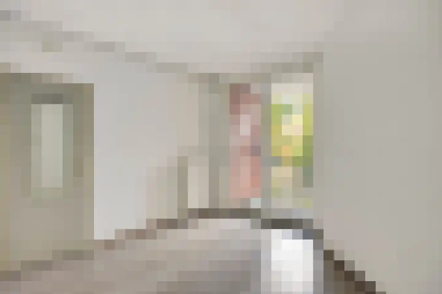 Holterberg 117 Capelle aan den IJssel thumbnail 18