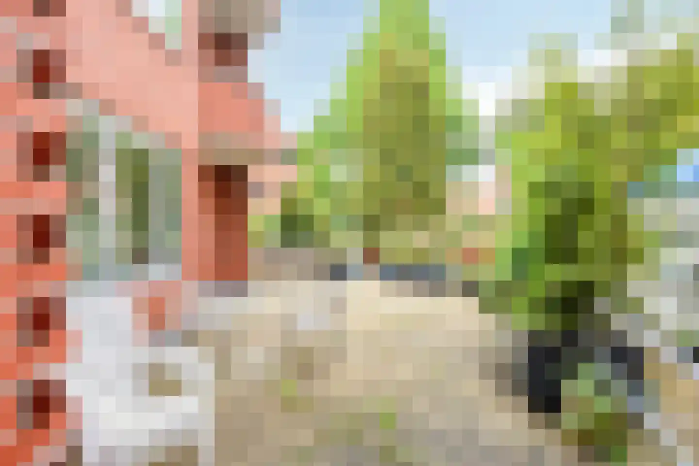 Holterberg 117 Capelle aan den IJssel thumbnail 27