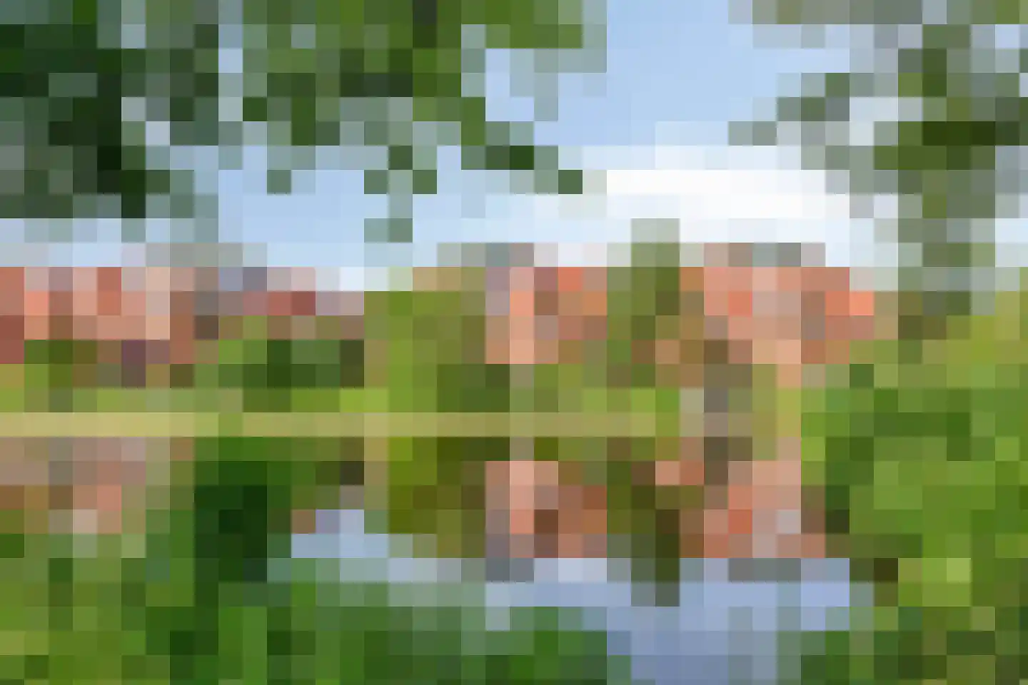 Holterberg 117 Capelle aan den IJssel thumbnail 41