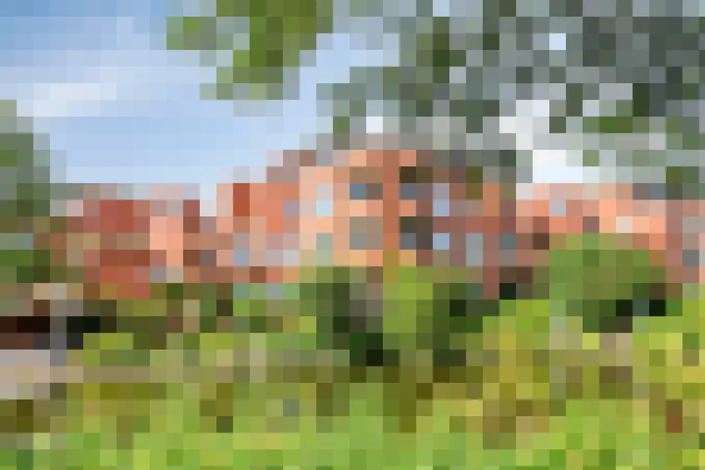 Holterberg 117 Capelle aan den IJssel thumbnail 42