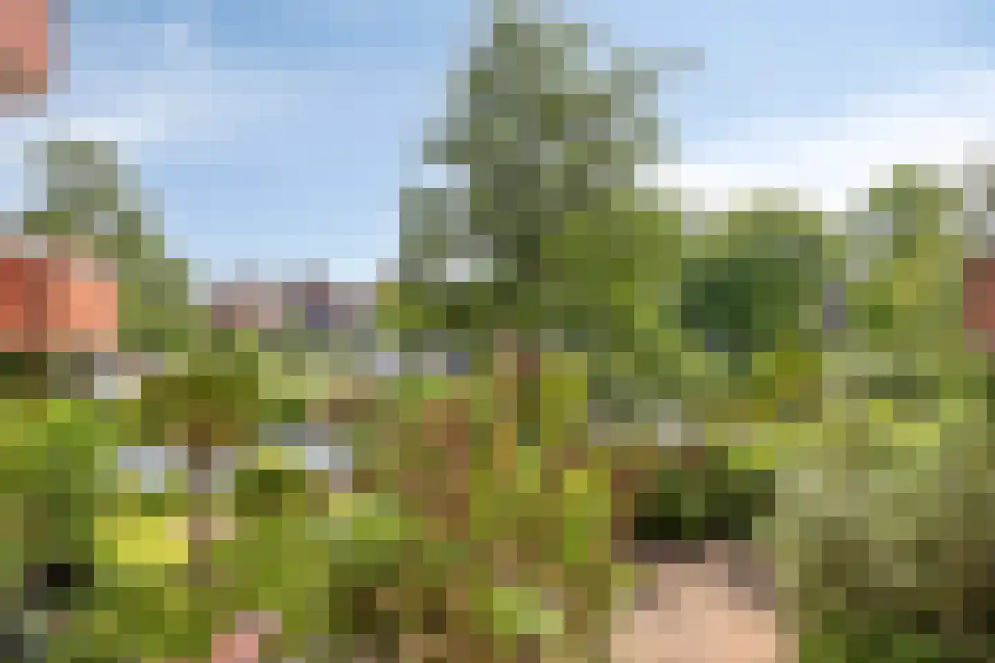 Holterberg 117 Capelle aan den IJssel thumbnail 46