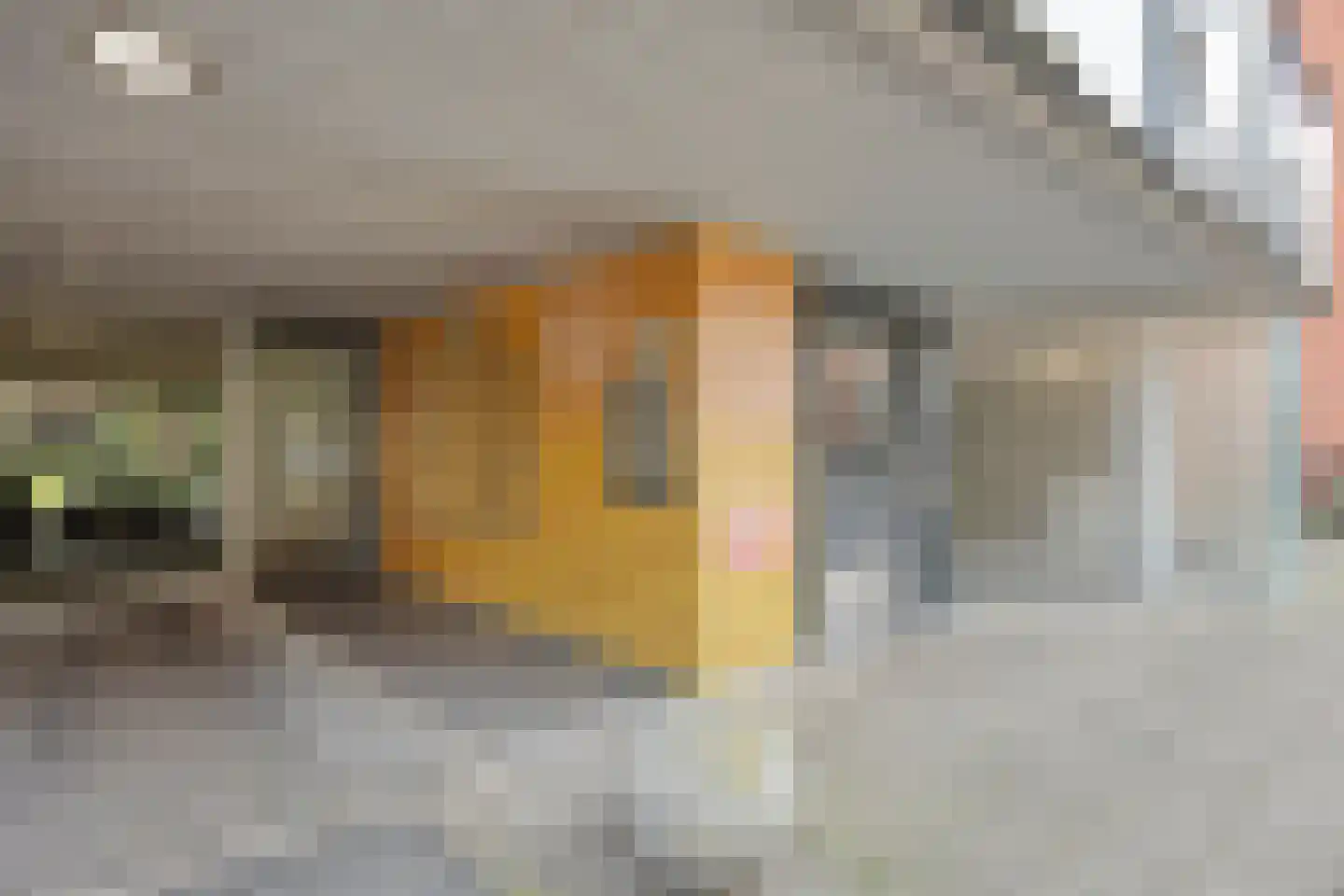 Holterberg 117 Capelle aan den IJssel thumbnail 5