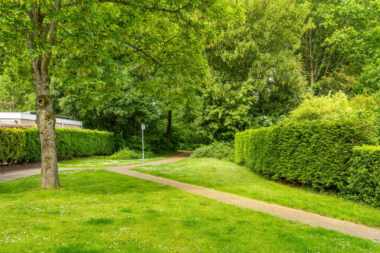 Holterberg 13 Zoetermeer thumbnail 52