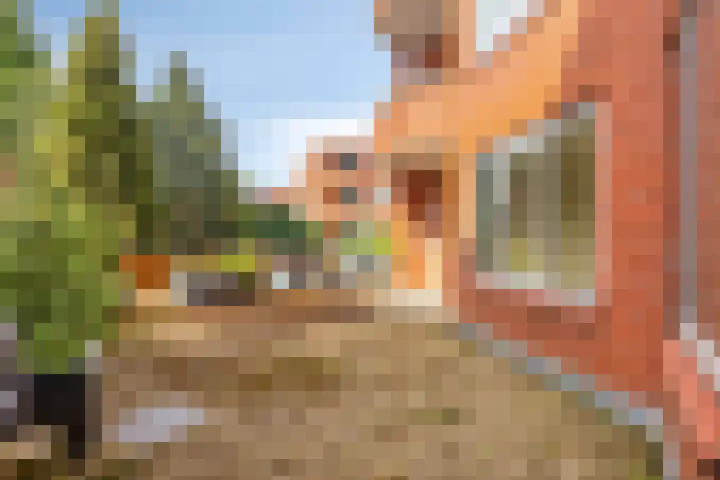 Holterberg 146 Capelle aan den IJssel thumbnail 27