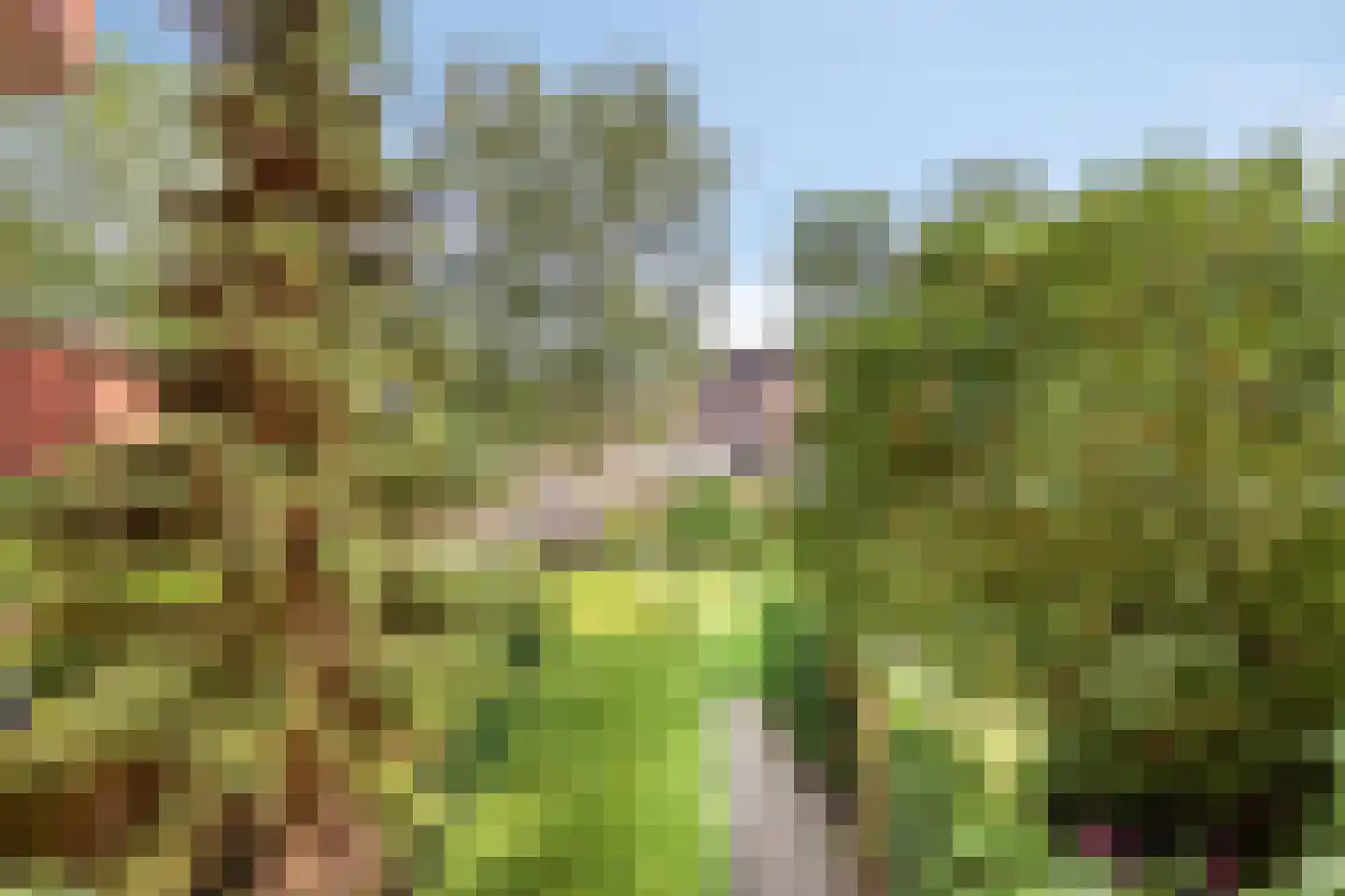 Holterberg 146 Capelle aan den IJssel thumbnail 34