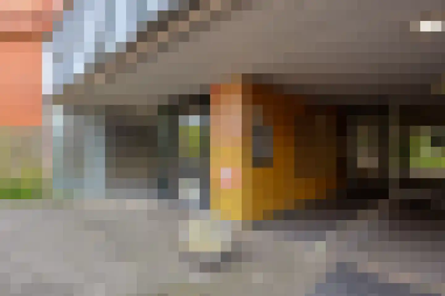 Holterberg 146 Capelle aan den IJssel thumbnail 5