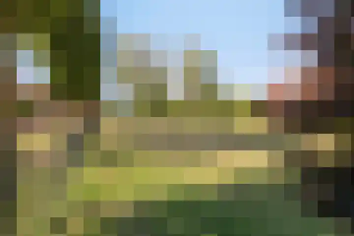 Holterberg 168 Capelle aan den IJssel thumbnail 27