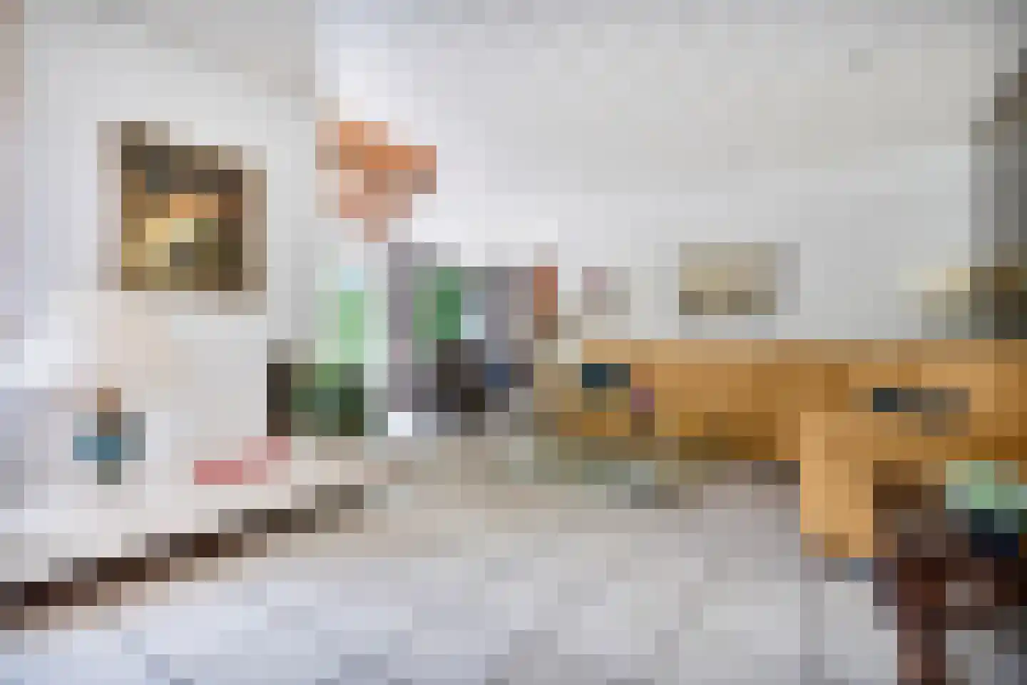 Holterberg 17 Zoetermeer thumbnail 14