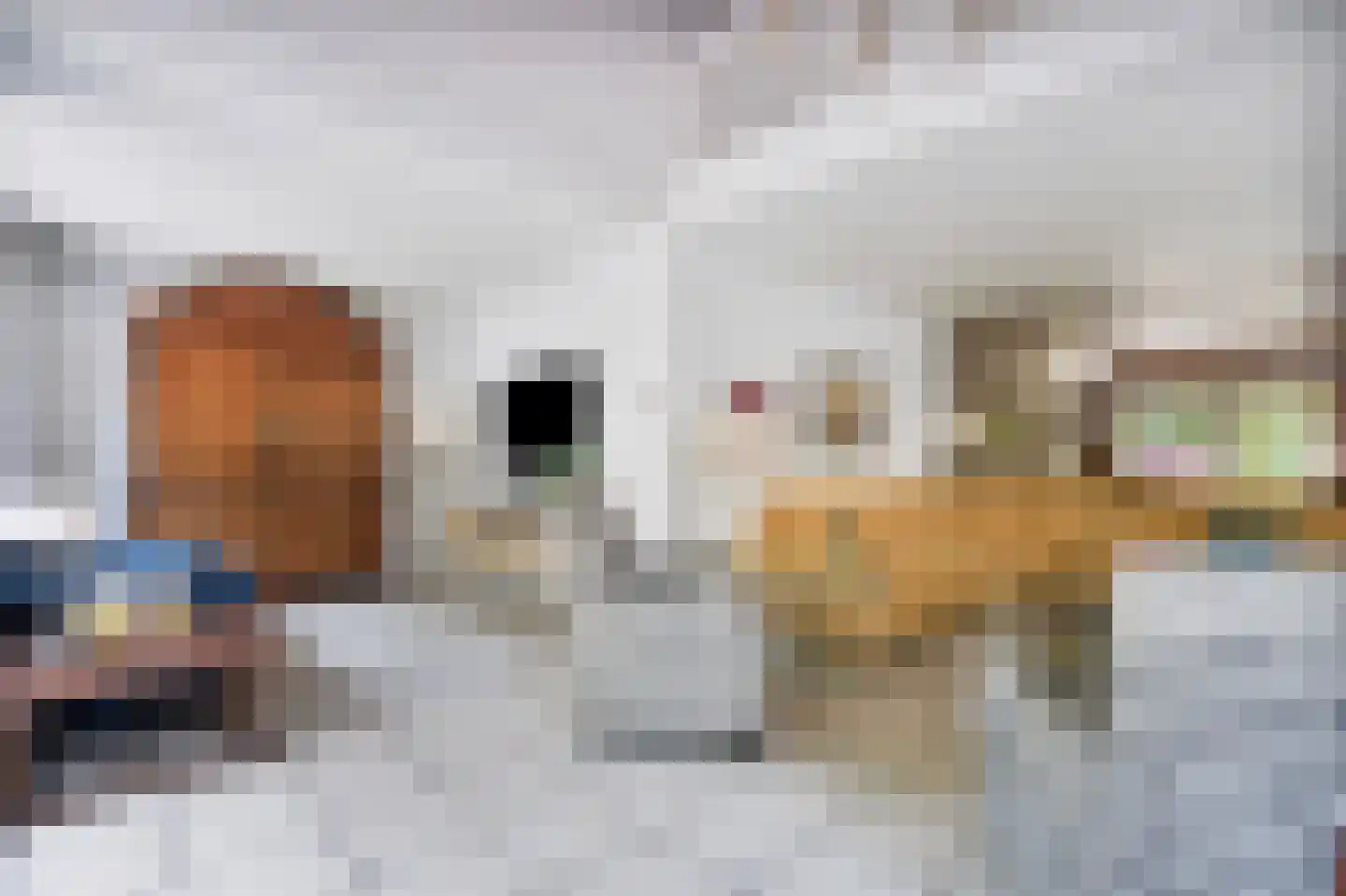 Holterberg 17 Zoetermeer thumbnail 18