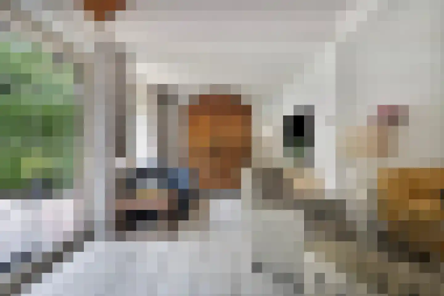 Holterberg 17 Zoetermeer thumbnail 20