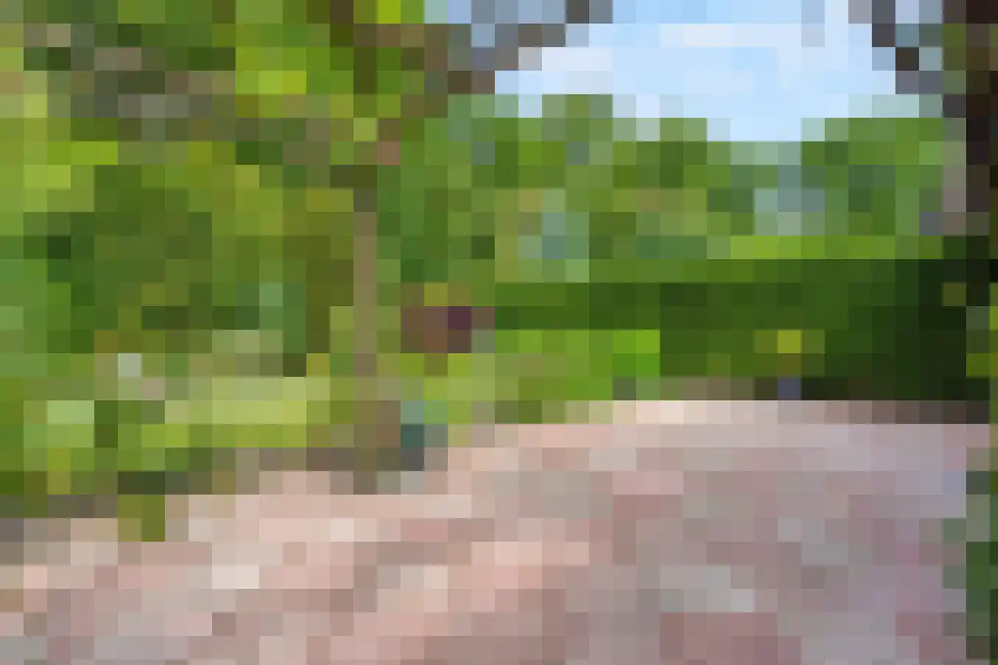 Holterberg 17 Zoetermeer thumbnail 22