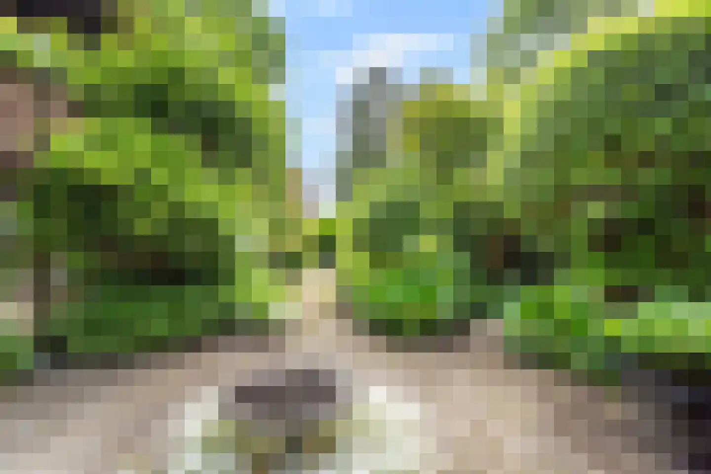 Holterberg 17 Zoetermeer thumbnail 27