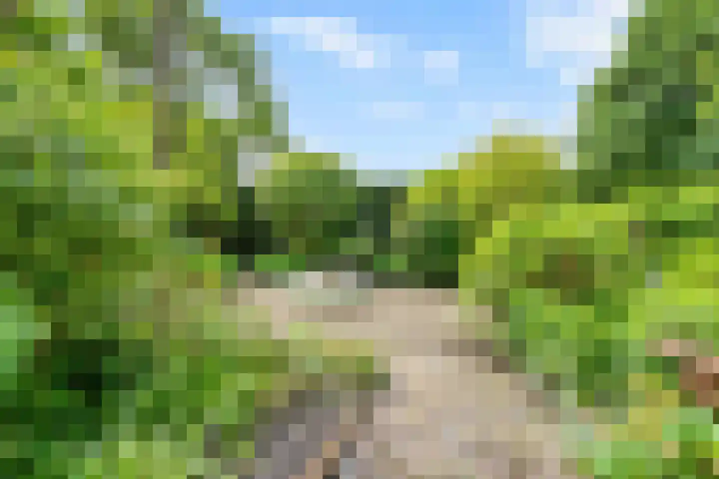 Holterberg 17 Zoetermeer thumbnail 27