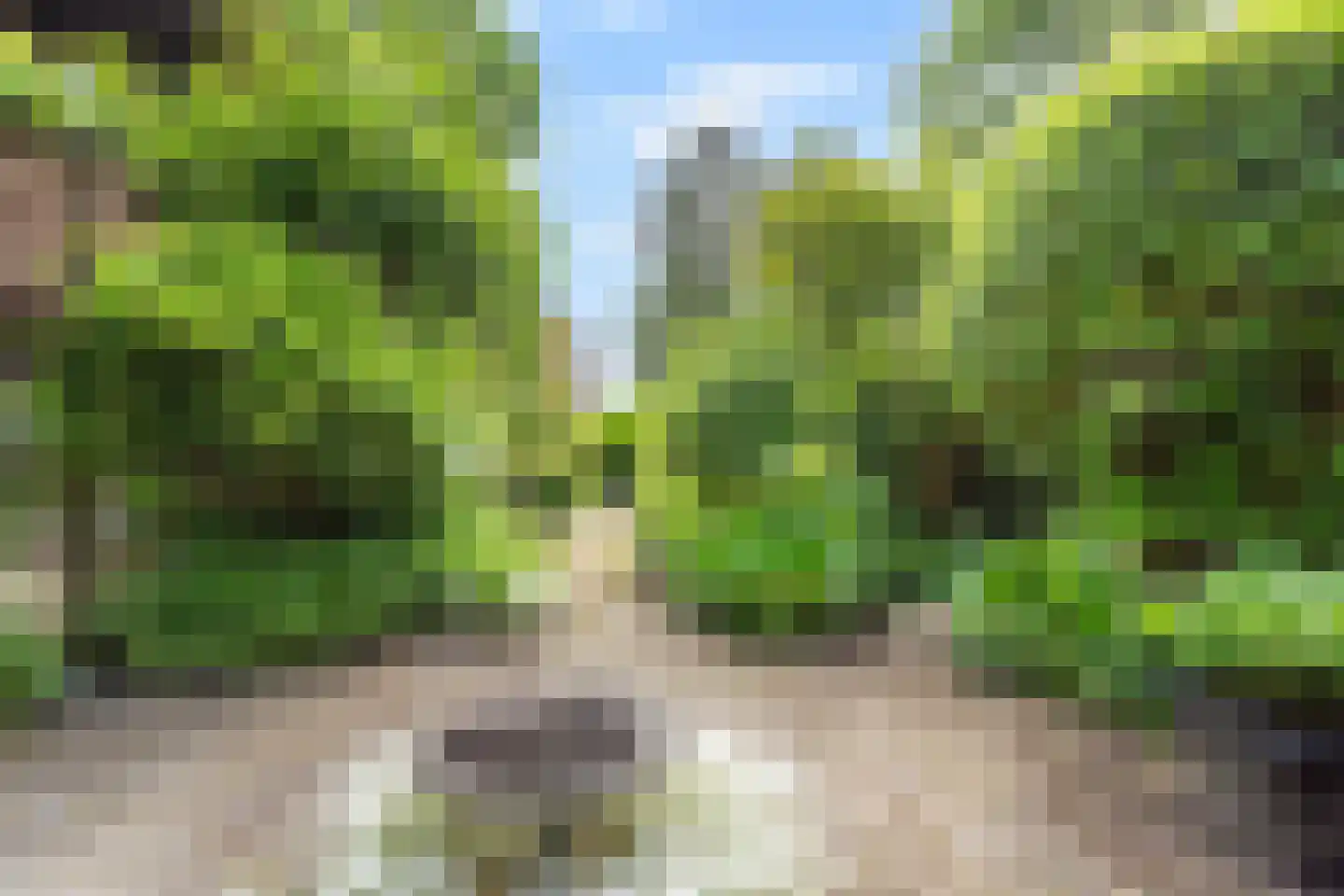 Holterberg 17 Zoetermeer thumbnail 28