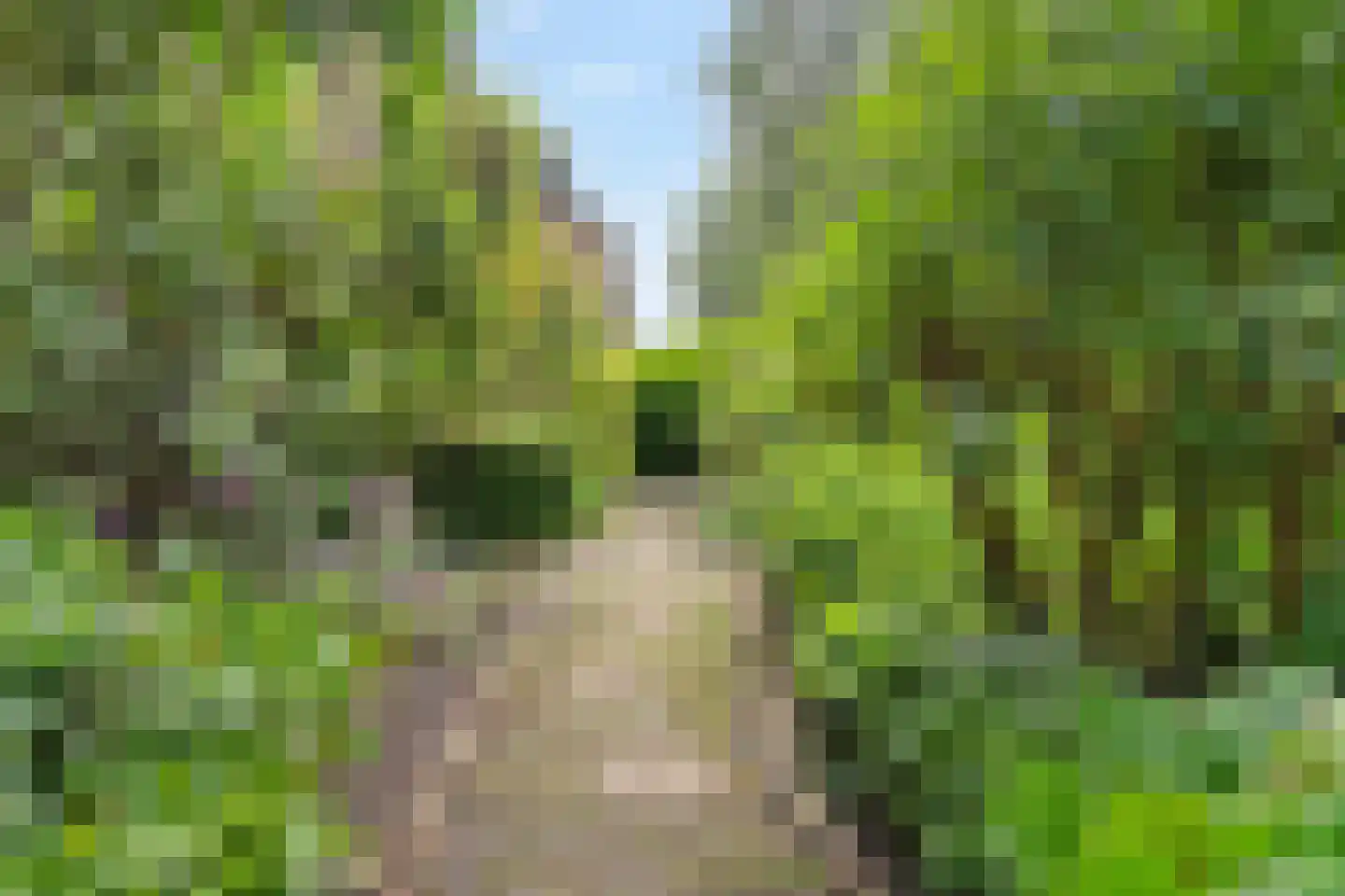 Holterberg 17 Zoetermeer thumbnail 29
