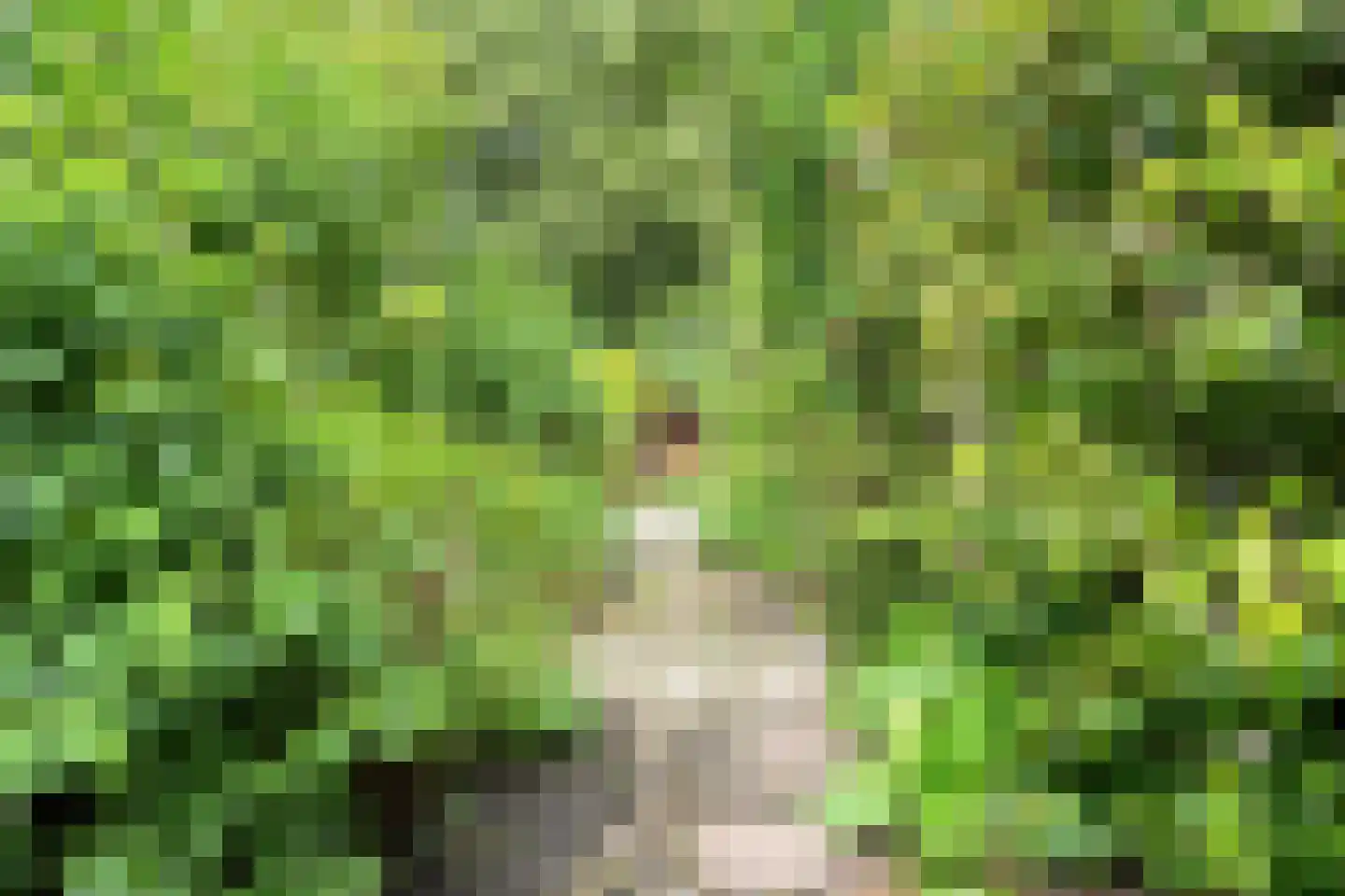 Holterberg 17 Zoetermeer thumbnail 29