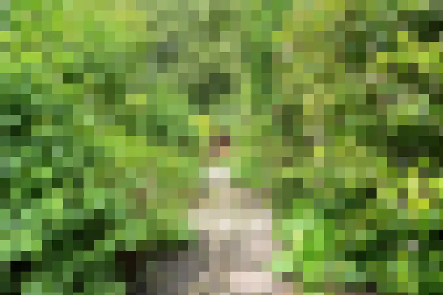 Holterberg 17 Zoetermeer thumbnail 30