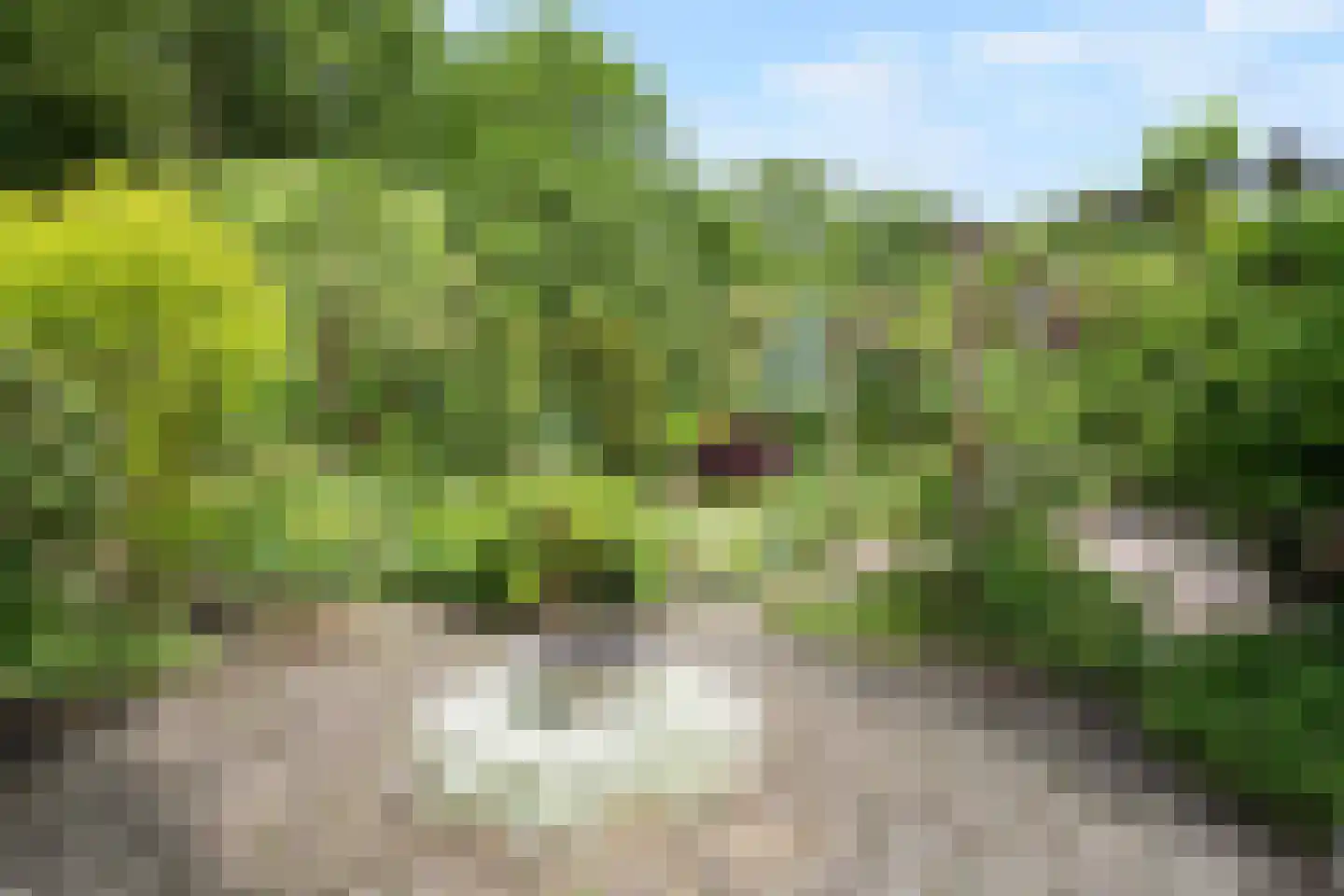 Holterberg 17 Zoetermeer thumbnail 31