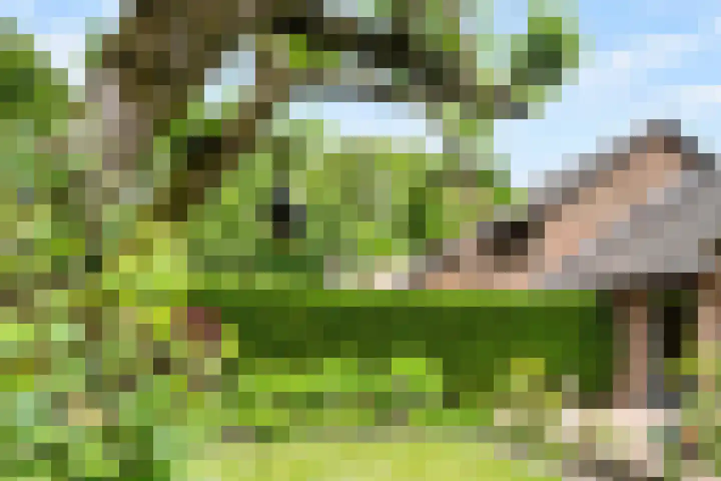 Holterberg 17 Zoetermeer thumbnail 32