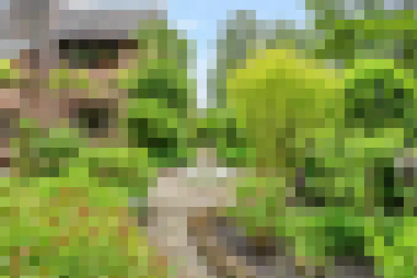 Holterberg 17 Zoetermeer thumbnail 34